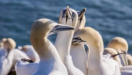 九游游戏中心下载-融合“足球+科技+文化”多元产业链在行业中不断深化，体教融合足球